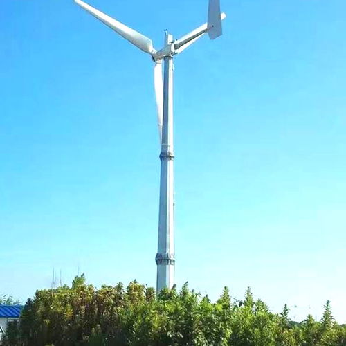 衢江晟成30千瓦風(fēng)力發(fā)電機 高效風(fēng)光互補系統(tǒng)引領(lǐng)綠色能源新風(fēng)尚